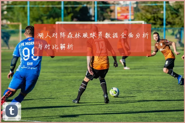 湖人对阵森林狼球员数据全面分析与对比解析