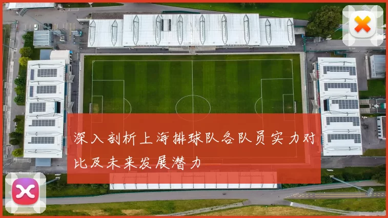 深入剖析上海排球队各队员实力对比及未来发展潜力