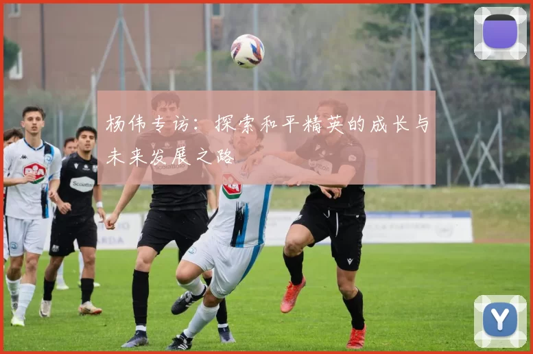 杨伟专访：探索和平精英的成长与未来发展之路