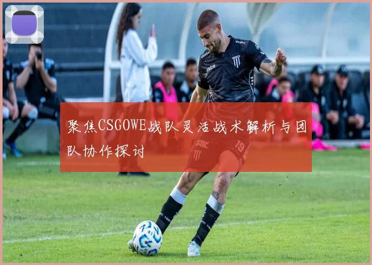 聚焦CSGOWE战队灵活战术解析与团队协作探讨