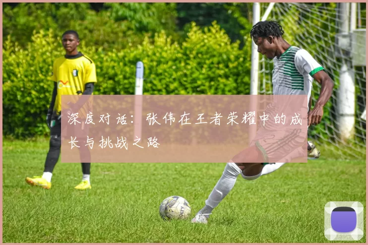 深度对话：张伟在王者荣耀中的成长与挑战之路