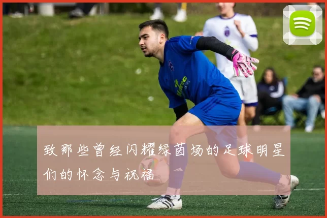 致那些曾经闪耀绿茵场的足球明星们的怀念与祝福
