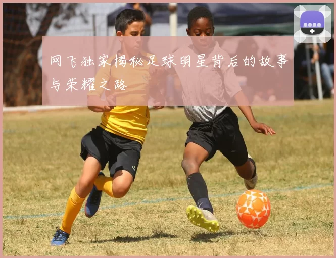 网飞独家揭秘足球明星背后的故事与荣耀之路