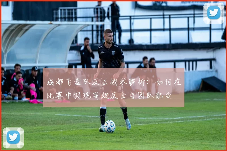 成都飞盘队反击战术解析：如何在比赛中实现高效反击与团队配合