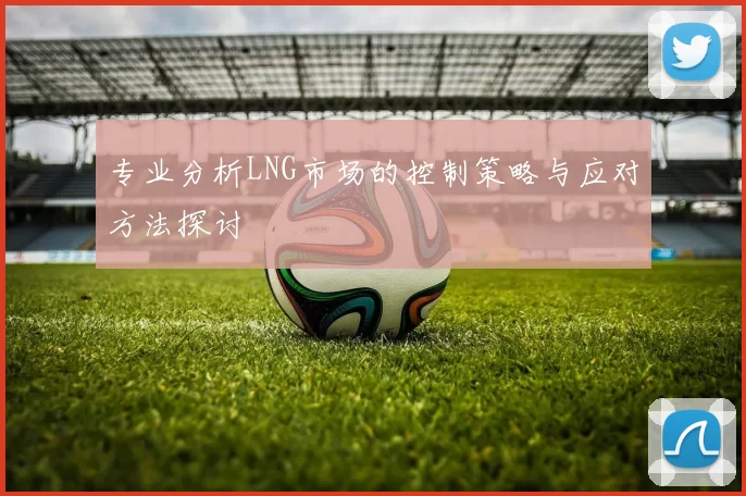 专业分析LNG市场的控制策略与应对方法探讨