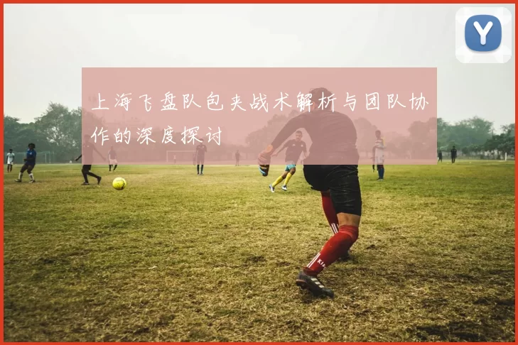 上海飞盘队包夹战术解析与团队协作的深度探讨