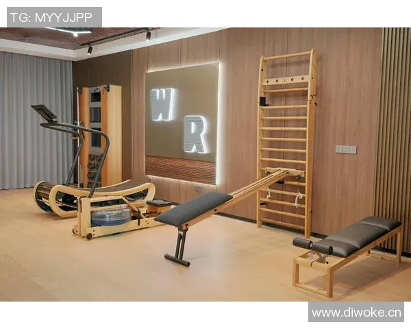 打造全方位健身体验的多功能器材推荐与使用指南