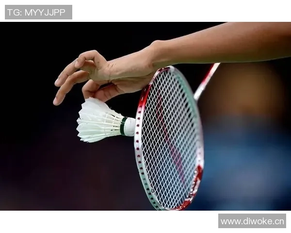 北京羽毛球队战术揭秘：包夹策略如何助力夺冠之路