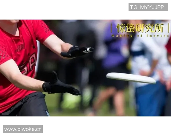 飞盘运动崛起背后的秘密周磊畅谈成功之道与未来展望 飞盘运动崛起背后的秘密周磊畅谈成功之道与未来展望