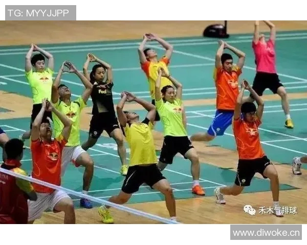 排球新手必看:力量训练基础与技巧全面解析助你快速提升球技